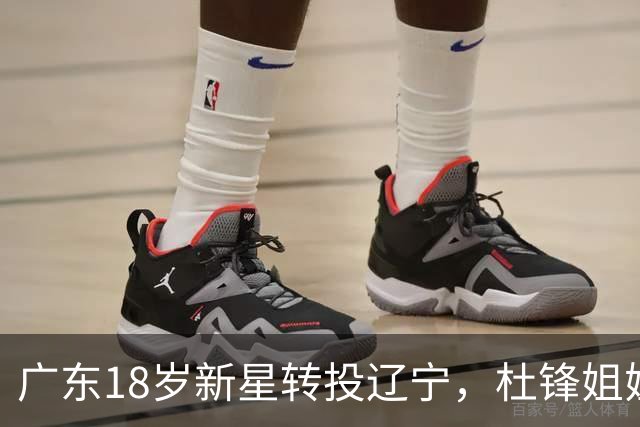 广东18岁新星转投辽宁，杜锋姐姐当选篮协副会长，2后卫试训新疆，广厦外援接受归化